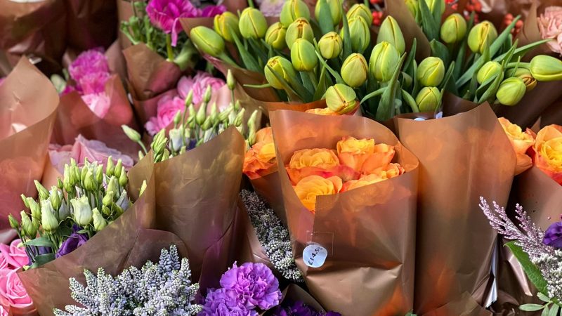 Влияние циркуляции воздуха на устойчивость цветов